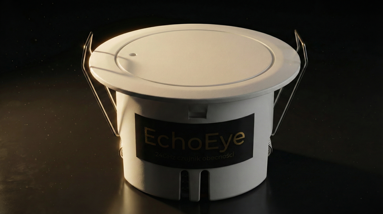 EchoEye – komunikacja przewodowa i bezprzewodowa